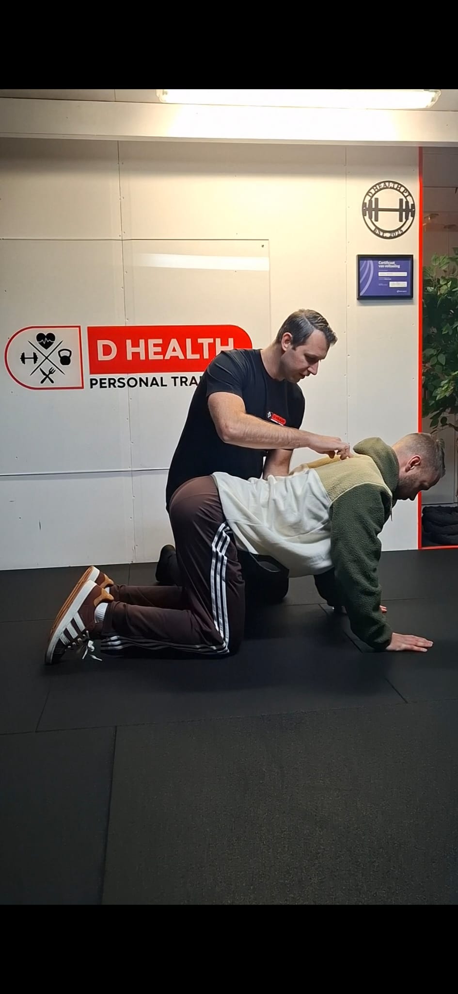 97e8cdbc-c542-440c-a7cc-86ffc87dab5e